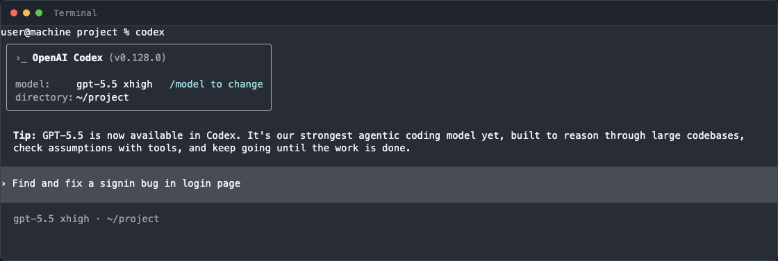Initial Codex prompt before refinement