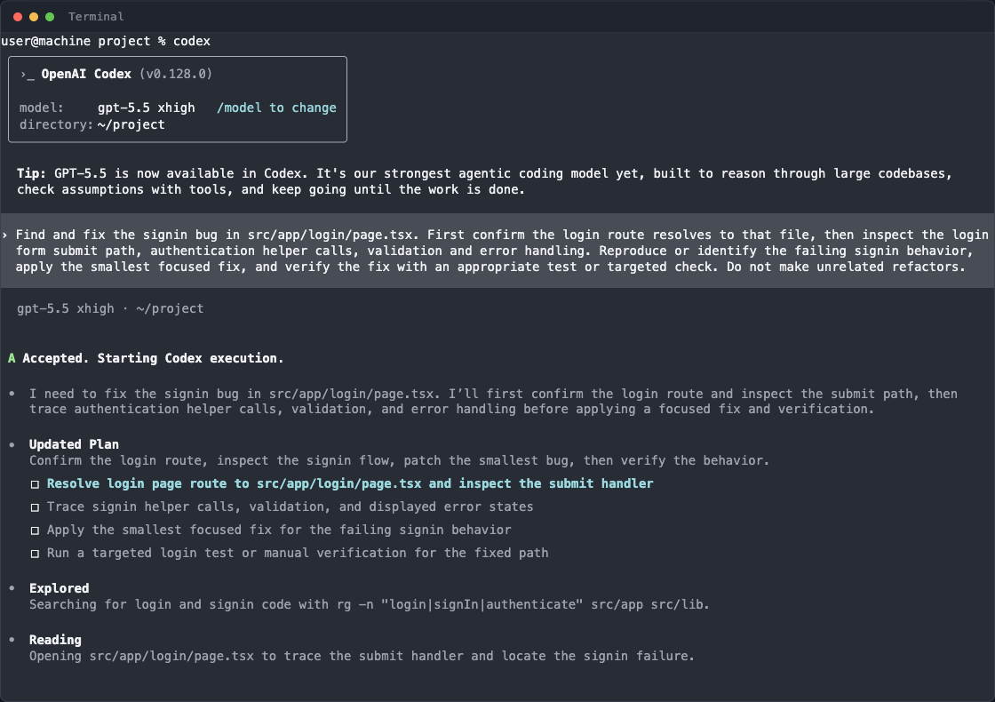 Codex executing the refined prompt with a structured plan